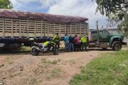 Tres personas detenidas cuando transportaban 1.034 palos de madera de diferentes especies