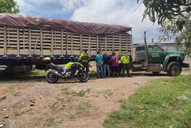 Tres personas detenidas cuando transportaban 1.034 palos de madera de diferentes especies