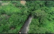 Implementan proyecto de rehabilitación de ecosistemas forestales en Dibulla (La Guajira)