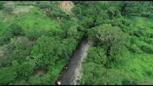 Implementan proyecto de rehabilitación de ecosistemas forestales en Dibulla (La Guajira)