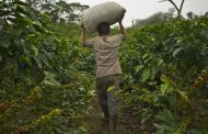 Víctimas serán beneficiadas con flexibilización en pago de créditos en mora con el BanAgrario