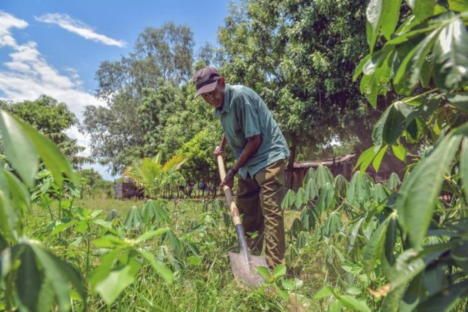 Agricel, una apuesta para la reactivación económica en el Cesar