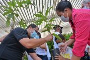 Dos mil árboles entregó el gobernador del Cesar en lanzamiento de segunda fase de arbolado urbano de Valledupar