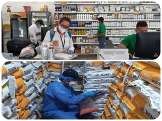 Inspección a establecimientos de comercio de semillas en el Cesar