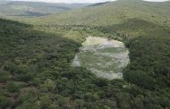 Los bosques alrededor del Río Ranchería que están dentro de Cerrejón, los mejor conservados de su cuenca