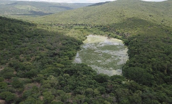 Los bosques alrededor del Río Ranchería que están dentro de Cerrejón, los mejor conservados de su cuenca