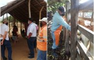 ICA realiza seguimiento a vacunación contra fiebre aftosa en La Guajira
