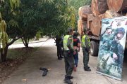 En el municipio de Codazzi (Cesar), la Policía incauta madera