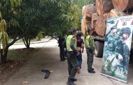 En el municipio de Codazzi (Cesar), la Policía incauta madera
