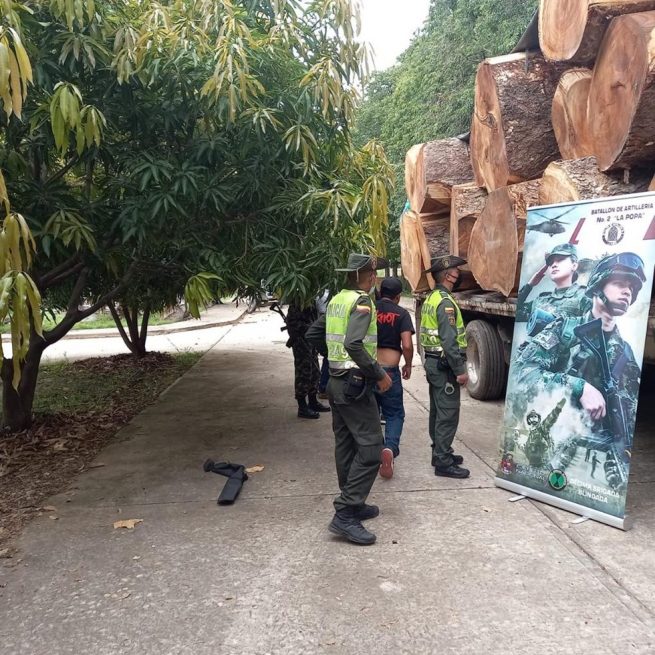 En el municipio de Codazzi (Cesar), la Policía incauta madera