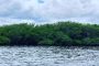 Bahía Portete tiene el 80 % de los pastos marinos del Caribe Colombiano