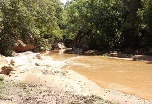 Corpoguajira finalizó proyecto de rehabilitación en las cuencas de los ríos Ranchería, Tapias y Cesar