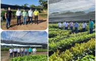 El ICA inspeccionó viveros de material vegetal de propagación del Cesar