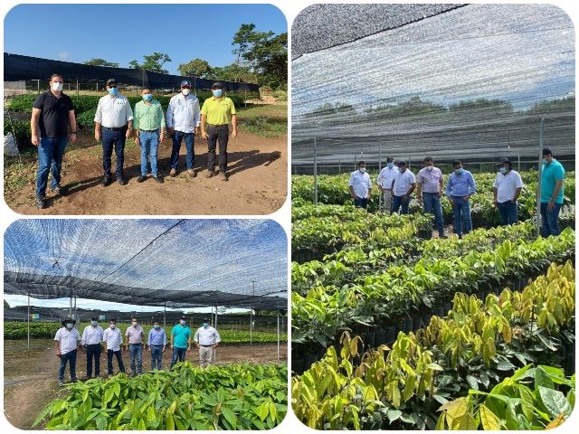 El ICA inspeccionó viveros de material vegetal de propagación del Cesar
