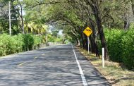 Lanzan Guía para entender y diagnosticar el impacto del atropellamiento de fauna silvestre en Colombia