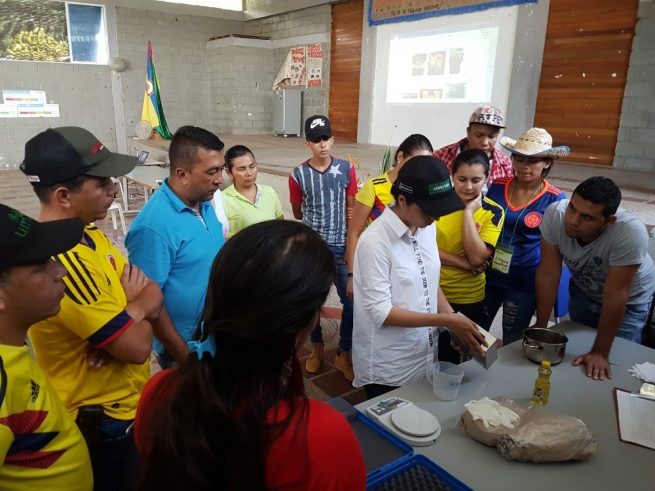 Proyecto de fríjol biofortificado en la región Caribe recibe reconocimiento
