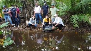 Liberan 1.000 tortugas hicoteas en el municipio de Dibulla (La Guajira)