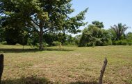 Unidad de Restitución de Tierras abre convocatoria para compra y arriendo de predios en el Cesar