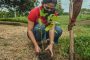 Corpoguajira durante el mes de octubre 60.000 árboles plantarán