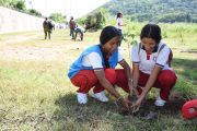 En Las Casitas, Emdupar conmemorará el Día del Árbol