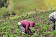 MinAgricultura lanzó estrategia de asociatividad rural para fortalecer a los campesinos