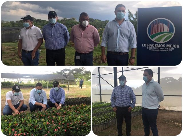 El ICA entregó registro a Vivero Departamental del Cesar