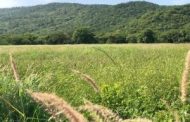 Corpoguajira exaltó declaratoria de la reserva privada de la sociedad civil Aguas Blancas – Santa Helena – Mushaisa