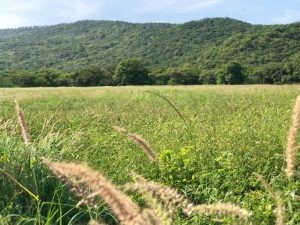 Corpoguajira exaltó declaratoria de la reserva privada de la sociedad civil Aguas Blancas – Santa Helena – Mushaisa