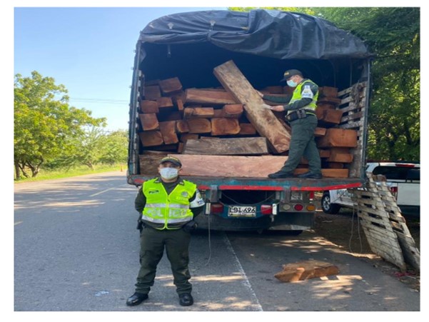 La Polfa Cesar incautó 14 metros de madera