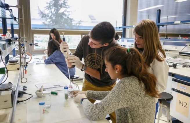 Estudiantes ya pueden postularse a la convocatoria de Estado Joven para realizar prácticas en 2022