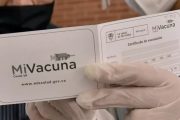 No se exigirá carné de vacunación para votar en las elecciones de los Consejos Municipales y Locales de Juventud