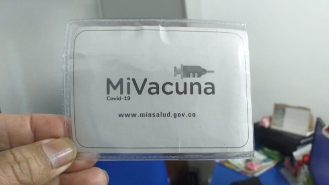 Gobierno establece fechas para exigencia de carné de vacunación