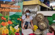 Prosperidad Social inicia atención para 27.526 hogares desplazados