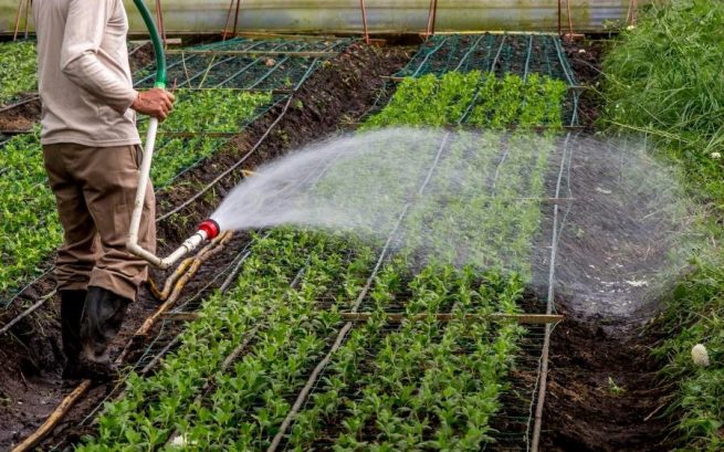 Aprobado Proyecto de Ley de Insumos Agropecuarios
