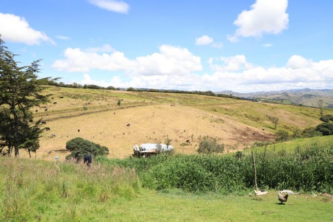 Abierta la convocatoria para la contratación de ejecutores de vivienda rural en Cesar