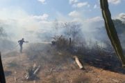 Alerta por incendios forestales en La Guajira; afectaría la Sierra Nevada y Serranía de Perijá