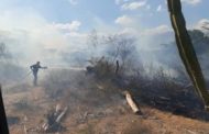 Alerta por incendios forestales en La Guajira; afectaría la Sierra Nevada y Serranía de Perijá
