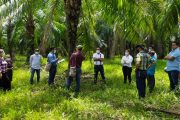 En el Cesar, siete familias campesinas regresaron a sus tierras