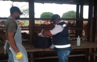 Colombia aumentó la cobertura y vacunó contra aftosa el 98,7 % del hato bovino y bufalino del país