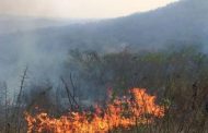 Alertan sobre incendios forestales en municipios del corredor minero en el Cesar