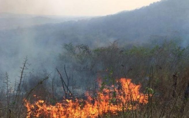 Alertan sobre incendios forestales en municipios del corredor minero en el Cesar