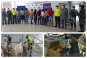 Operativos del CIIIP lograron la incautación y aprehensión de más $ 6.126 millones