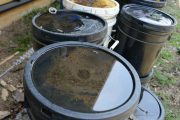 Eliminar criaderos de mosquito, clave para reducir riesgo de enfermar