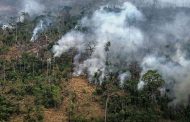 Latinoamérica busca unirse para enfrentar la triple crisis ambiental