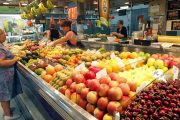 ¿Cómo elegir nuestros alimentos?