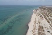 Pastos marinos de La Guajira, una despensa de carbono azul
