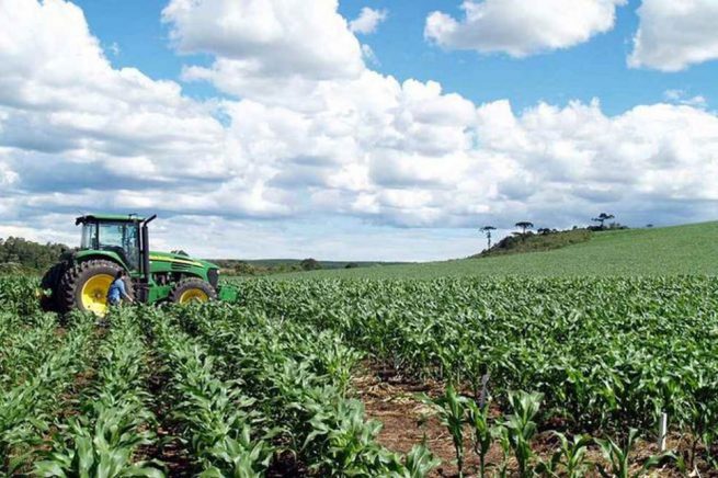 Ponen en marcha plan de financiamiento para incentivar producción agropecuaria en 2022