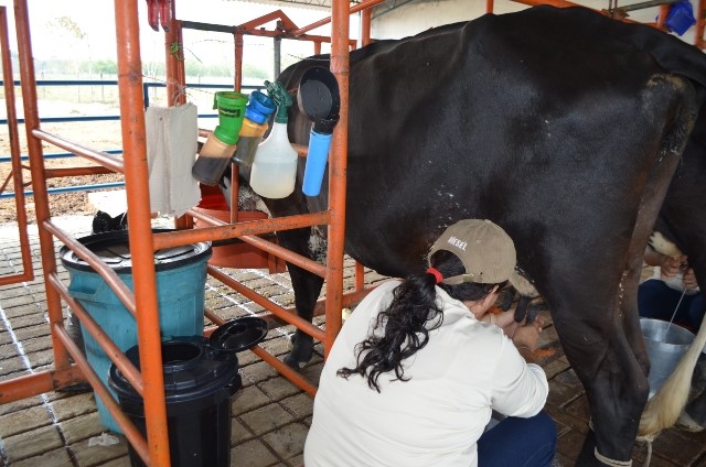 El ICA fija los requisitos para obtener la Autorización Sanitaria y de Inocuidad