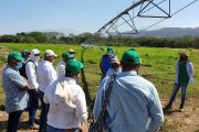 Agrosavia transfiere tecnología de riego con pivote a Fedearroz y agricultores de la región