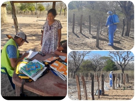 En La Guajira se aplican los procedimientos para la erradicación de la brucelosis bovina